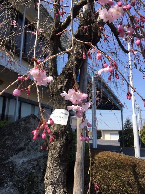 展示販売会 in やまと郡山城ホール