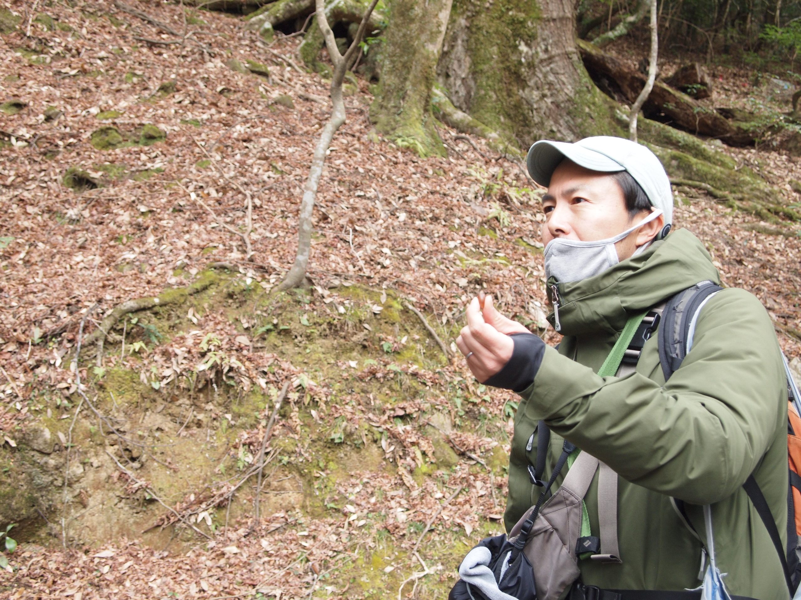 春日山原始林②