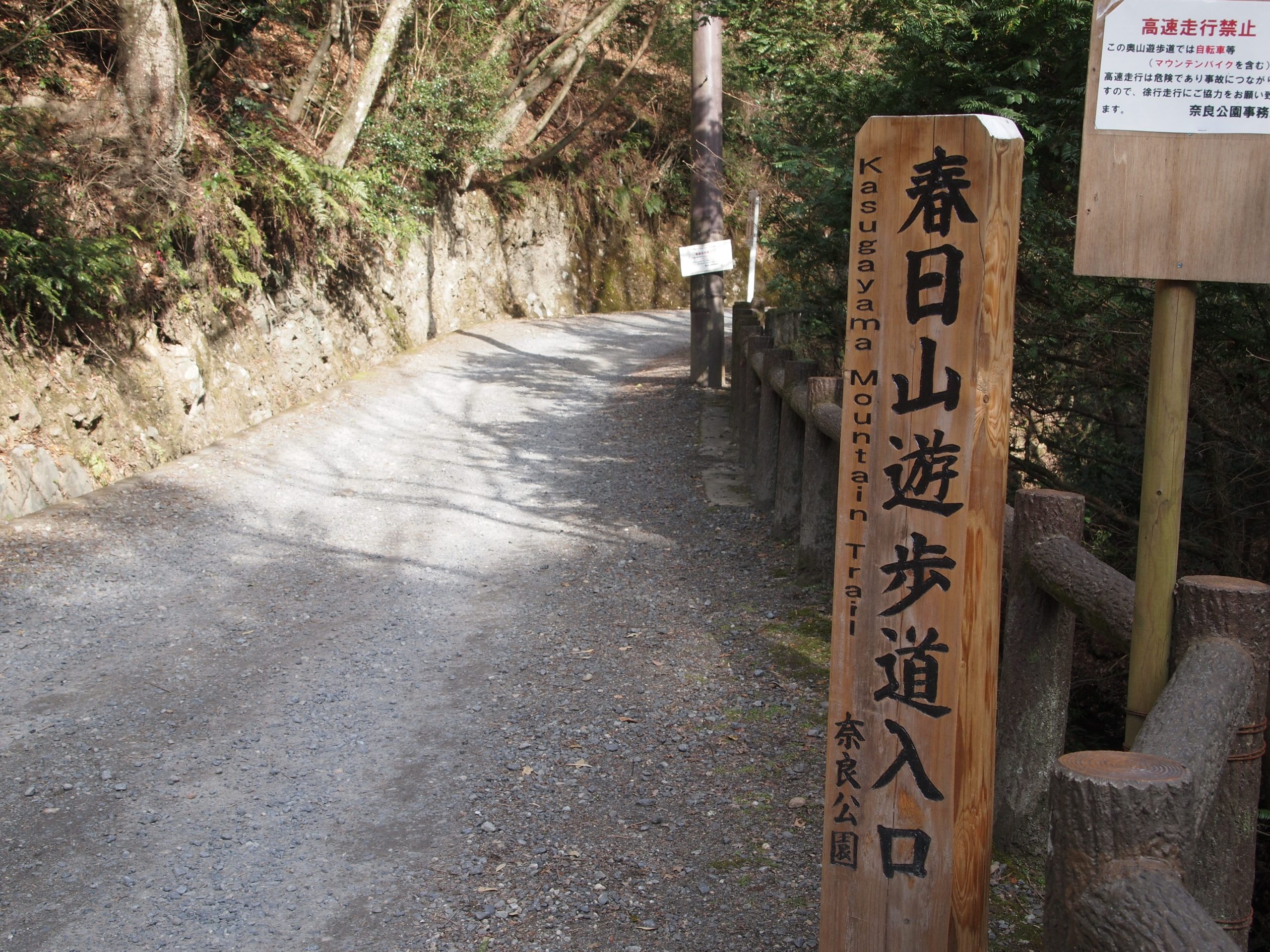 春日山原始林②